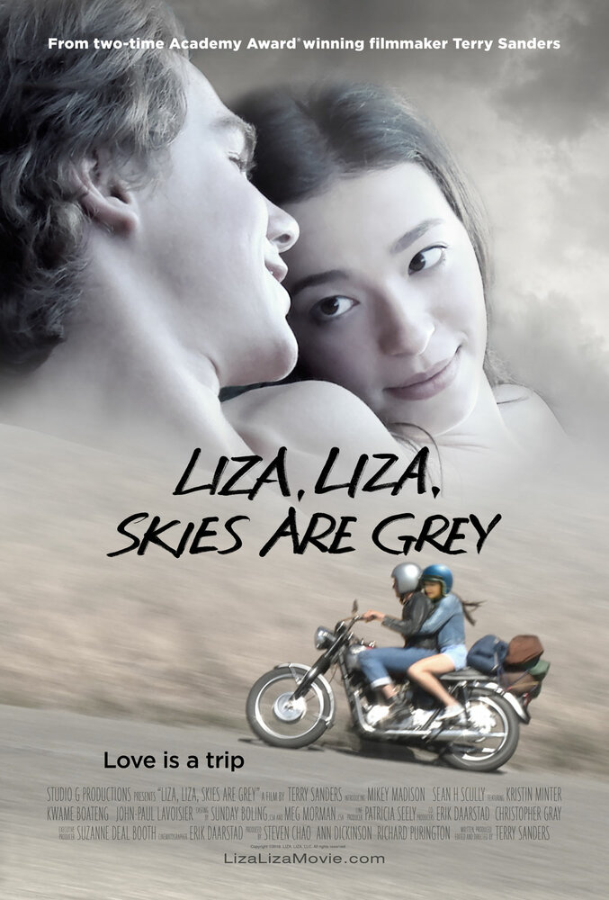 Лиза, Лиза, небеса серого цвета (2017) постер