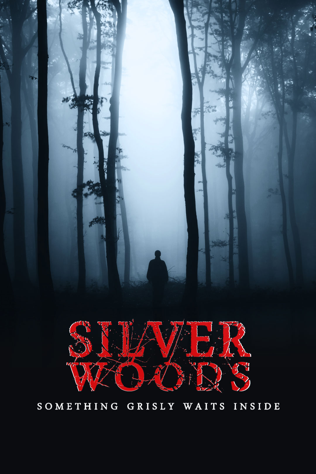 Silver Woods (2017) постер