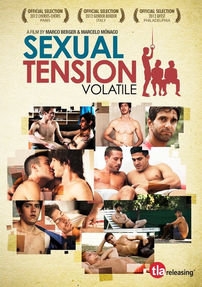 Сексуальное напряжение, Часть 1: Нестабильный (2012) постер