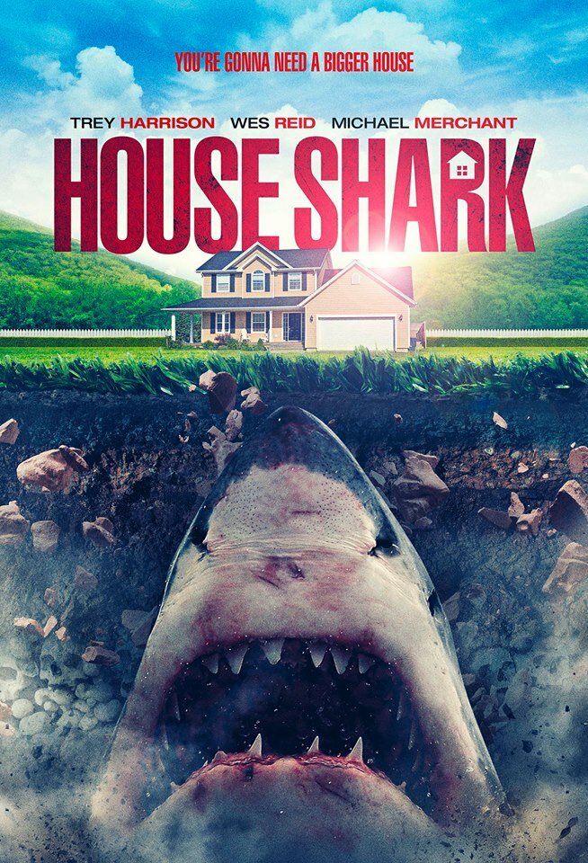 Домашняя акула (2017) постер