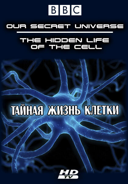 Внутренняя вселенная: Тайная жизнь клетки (2012) постер