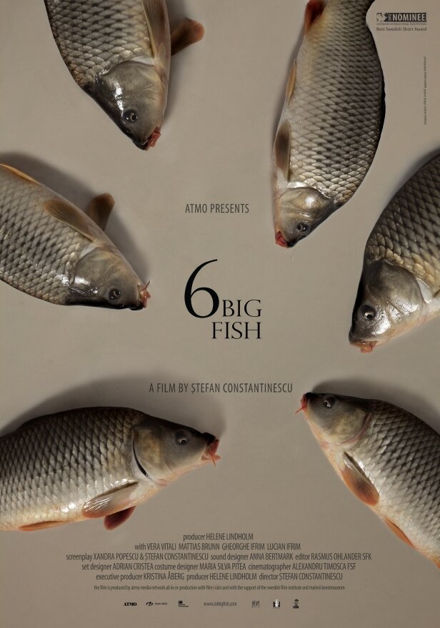 6 stora fiskar (2013) постер