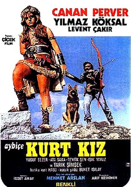 Aybiçe kurt kiz (1976) постер